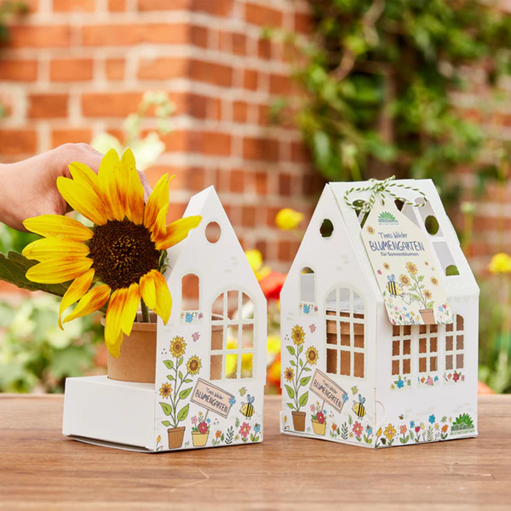 Set Di Coltivazione Per Bambini - Il Giardino Fiorito Di Timo 1 Set Di Coltivazione Per Bambini - Il Giardino Fiorito Di Timo