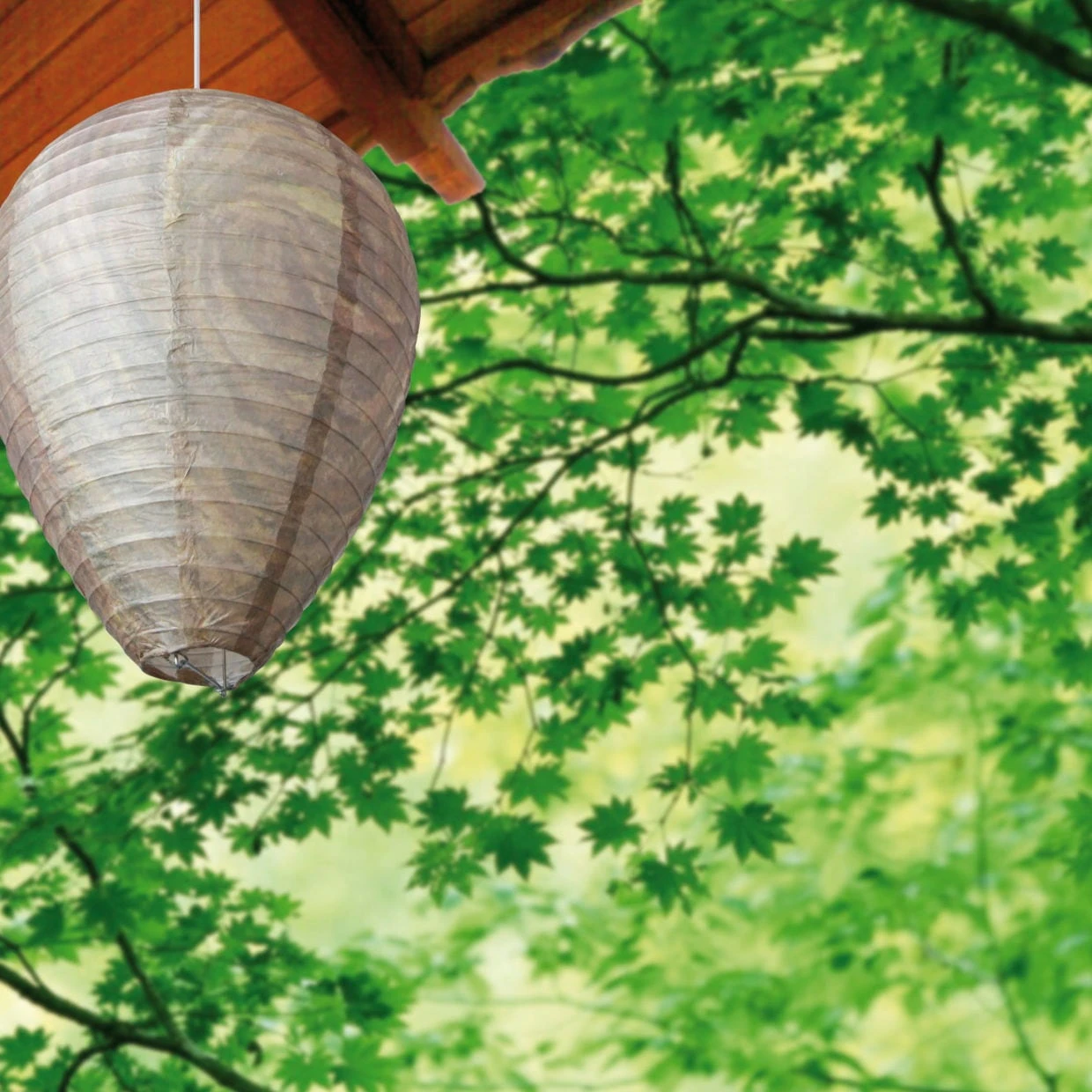 ESSCHERT DESIGN Finto Nido Scaccia Vespe 3 ESSCHERT DESIGN Finto Nido Scaccia Vespe - immagine 3