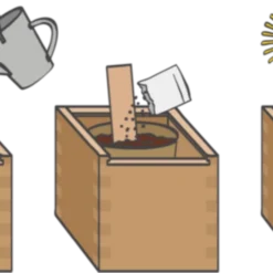 Ecobox - Peperoncino (Speciale)