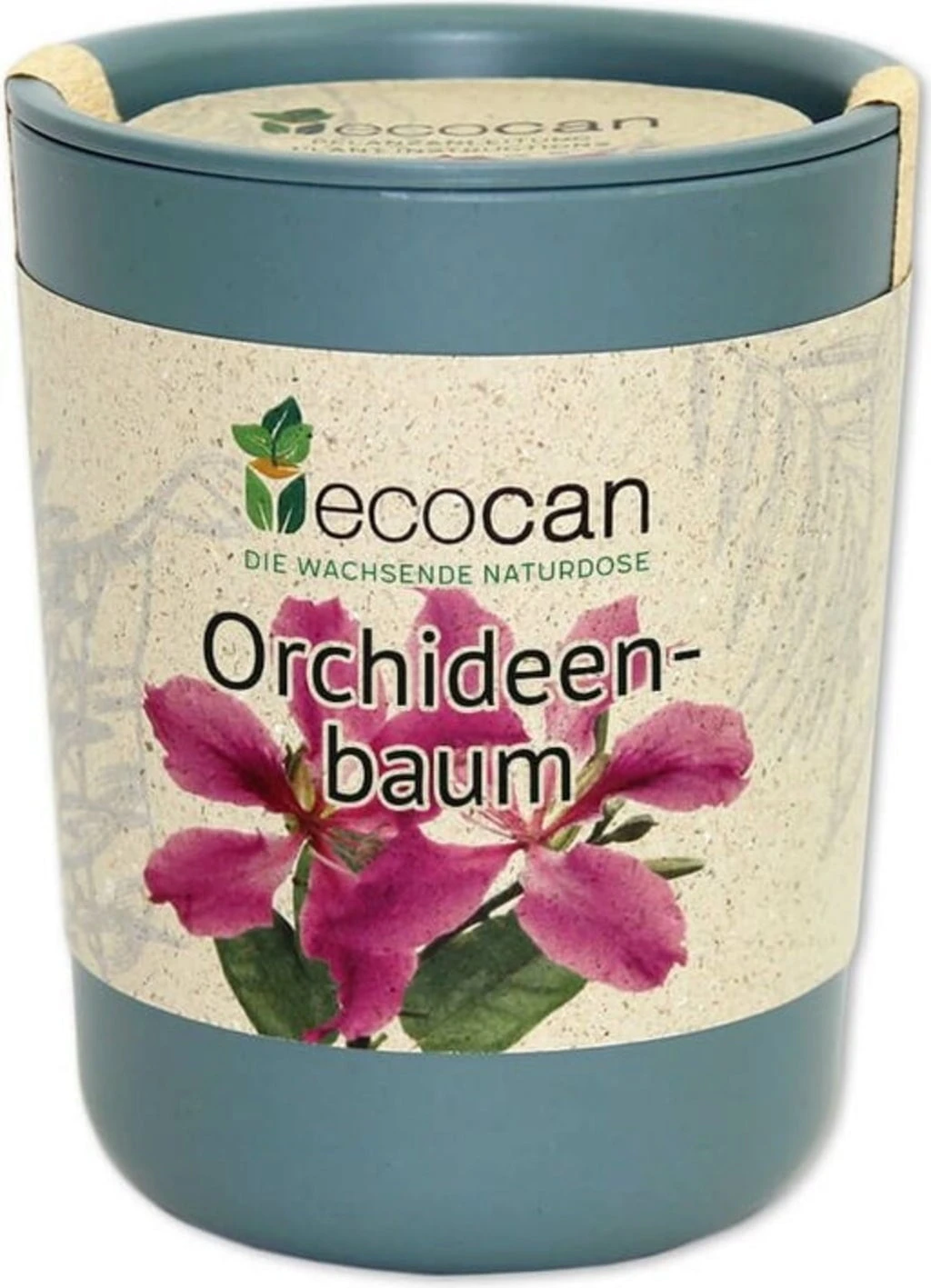 Ecocan - Albero Orchidea 1 Ecocan - Albero Orchidea