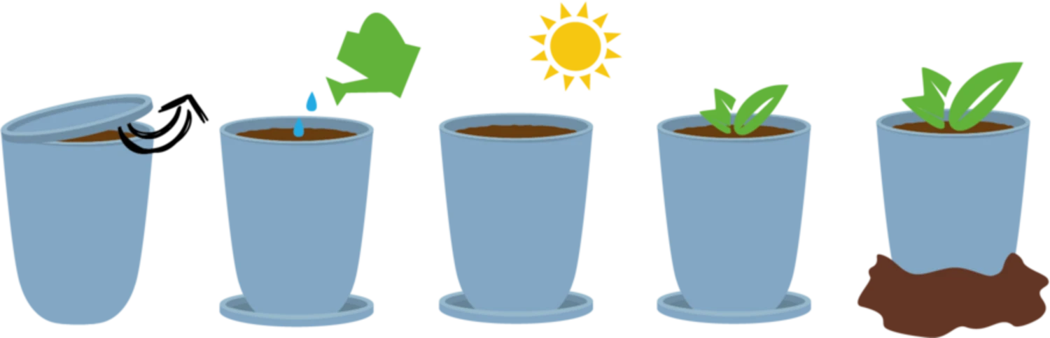 Ecocan - Albero Orchidea 2 Ecocan - Albero Orchidea - immagine 2