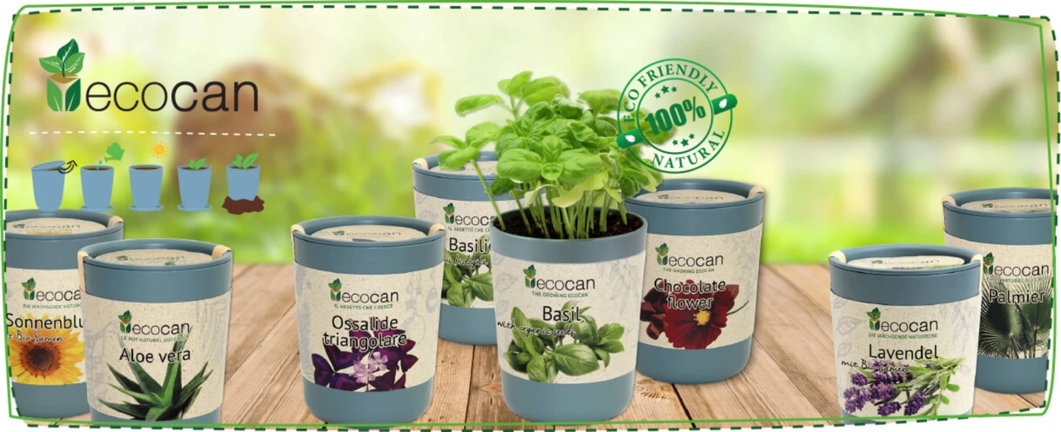 Ecocan - Albero Orchidea 3 Ecocan - Albero Orchidea - immagine 3