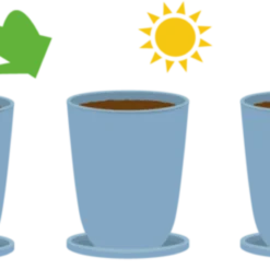 Ecocan - Fiore Di Cioccolato -Offerta Economica Verdi Giard feel green ecocan fiore di cioccolato 1 st 1676067 it