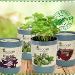 Ecocan - Fiore Di Cioccolato