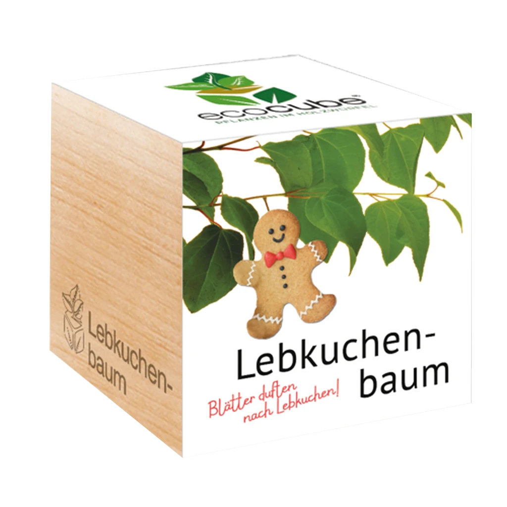 Ecocube - Albero Di Katzura 1 Ecocube - Albero Di Katzura