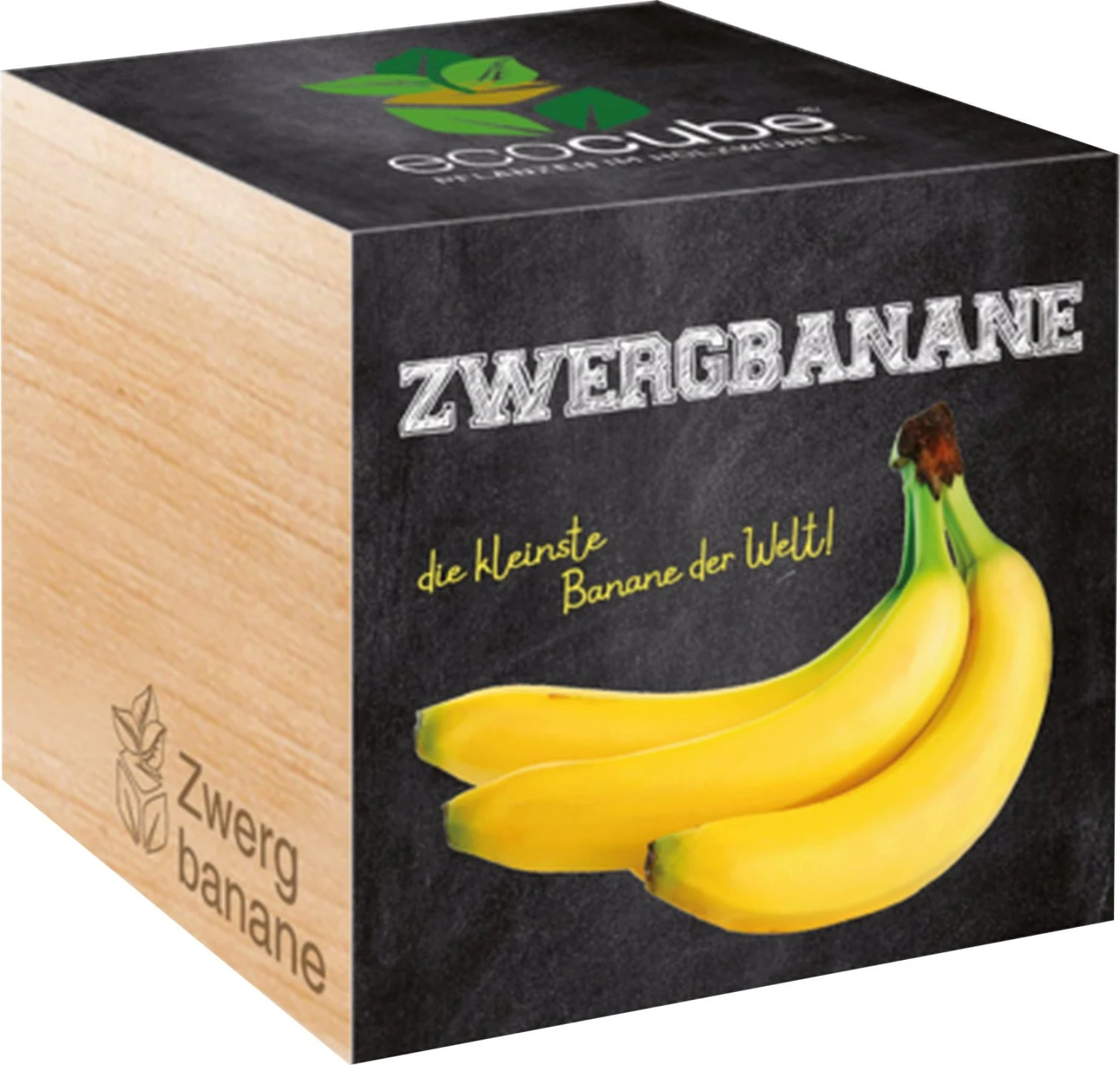 Ecocube - Banana Cavendish 2 Ecocube - Banana Cavendish - immagine 2