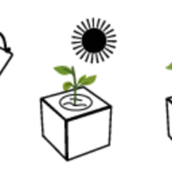 Ecocube - Devil's Tongue 5 Ecocube - Devil's Tongue -Offerta Economica Verdi Giard feel green ecocube devils tongue 1 st 1670100 it