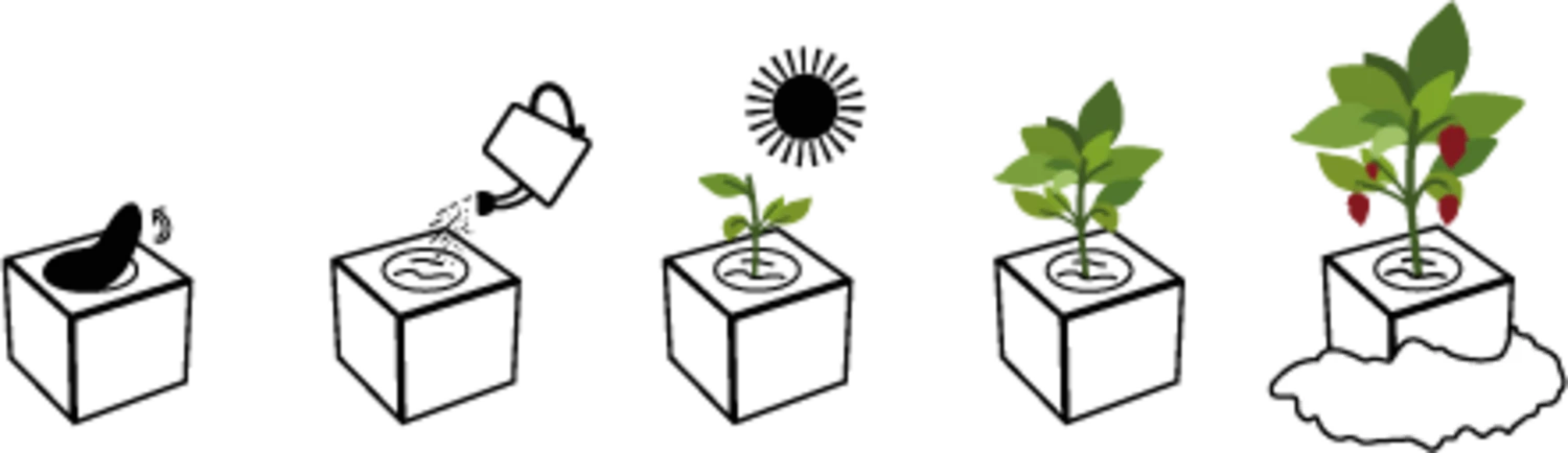 Ecocube - Devil's Tongue 3 Ecocube - Devil's Tongue - immagine 3