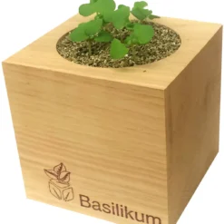 Ecocube - Erbe Aromatiche, Rosmarino