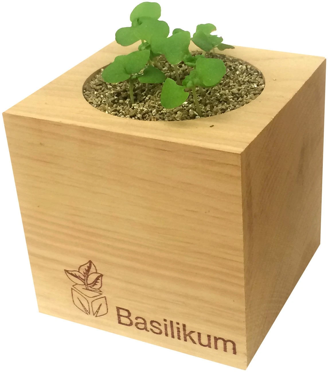 Ecocube - Erbe Aromatiche, Rosmarino 1 Ecocube - Erbe Aromatiche, Rosmarino