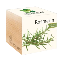 Ecocube - Erbe Aromatiche, Rosmarino 5 Ecocube - Erbe Aromatiche, Rosmarino -Offerta Economica Verdi Giard feel green ecocube erbe aromatiche rozmarin 1258565 it