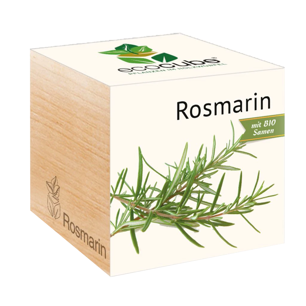 Ecocube - Erbe Aromatiche, Rosmarino 3 Ecocube - Erbe Aromatiche, Rosmarino - immagine 3