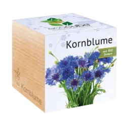 Ecocube - Fiordaliso