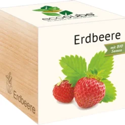 Ecocube - Fragola, Fragola