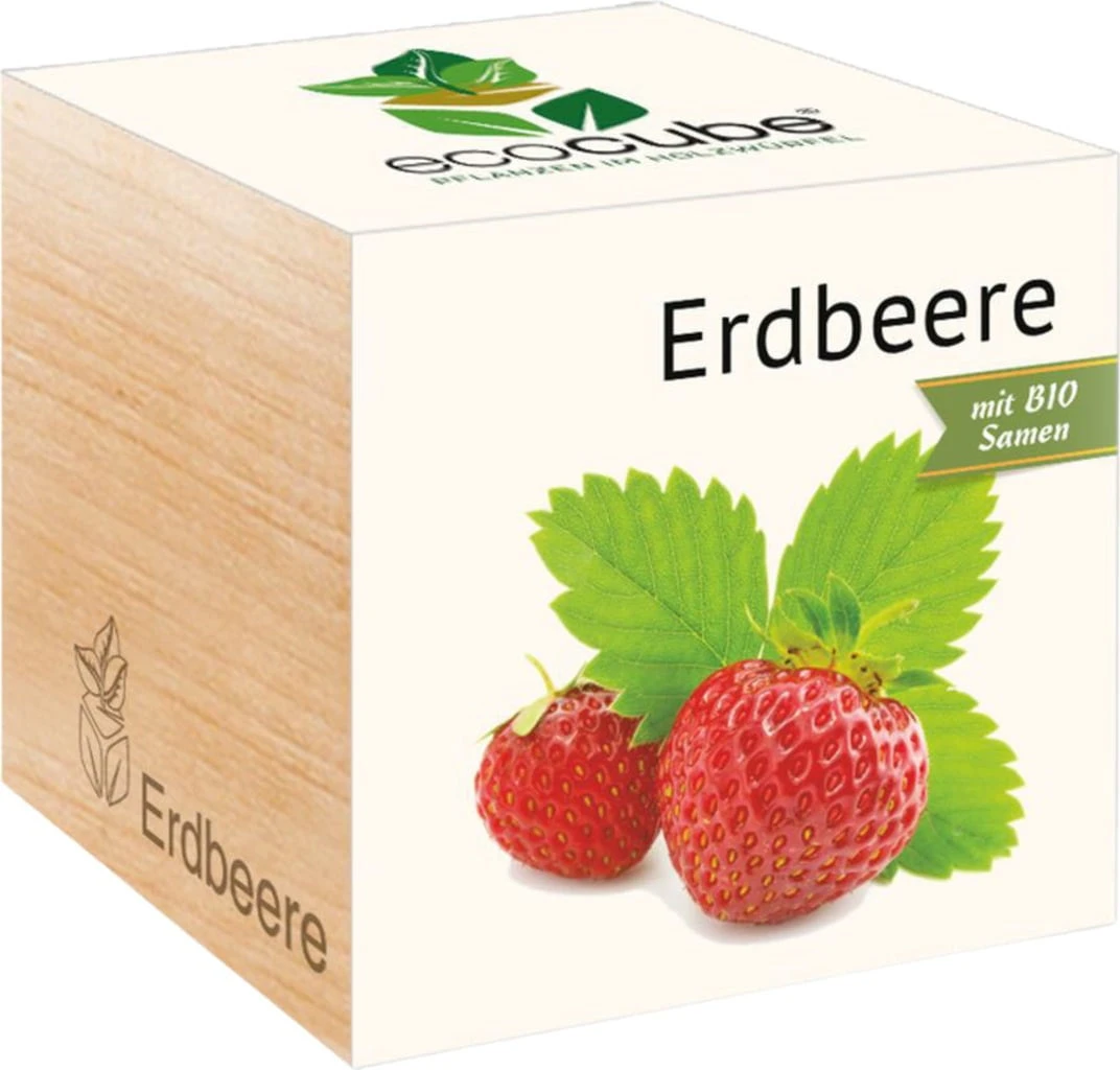 Ecocube - Fragola, Fragola 1 Ecocube - Fragola, Fragola