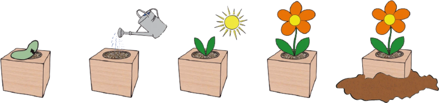 Ecocube - Luppolo 3 Ecocube - Luppolo - immagine 3