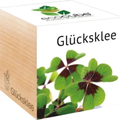 Ecocube - Quadrifoglio, Quadrifoglio