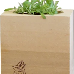 Ecocube - Stella Alpina, Stella Alpina Svizzera -Offerta Economica Verdi Giard feel green ecocube stella alpina 1665873 it