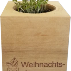 Ecocube - Stella Di Natale