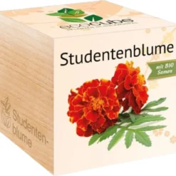Ecocube - Tagete