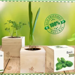 Ecocube - Viola Del Pensiero