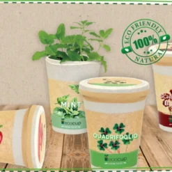 Ecocup - Bee Meadow -Offerta Economica Verdi Giard feel green ecocup bee meadow 1 st 1675681 it
