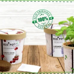 Ecopot - Basilico 7 Ecopot - Basilico -Offerta Economica Verdi Giard feel green ecopot basilico 1 st 1677187 it