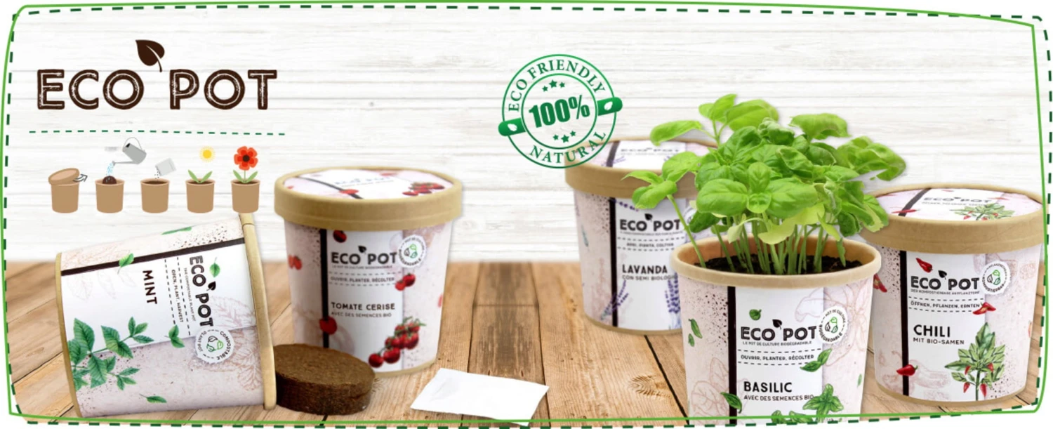Ecopot - Basilico 3 Ecopot - Basilico - immagine 3