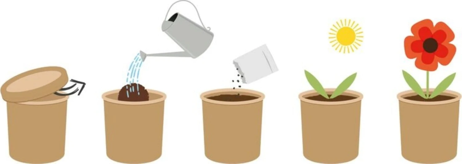 Ecopot - Basilico 1 Ecopot - Basilico