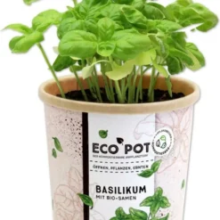 Ecopot - Basilico 8 Ecopot - Basilico -Offerta Economica Verdi Giard feel green ecopot basilico 1 st 1677190 it