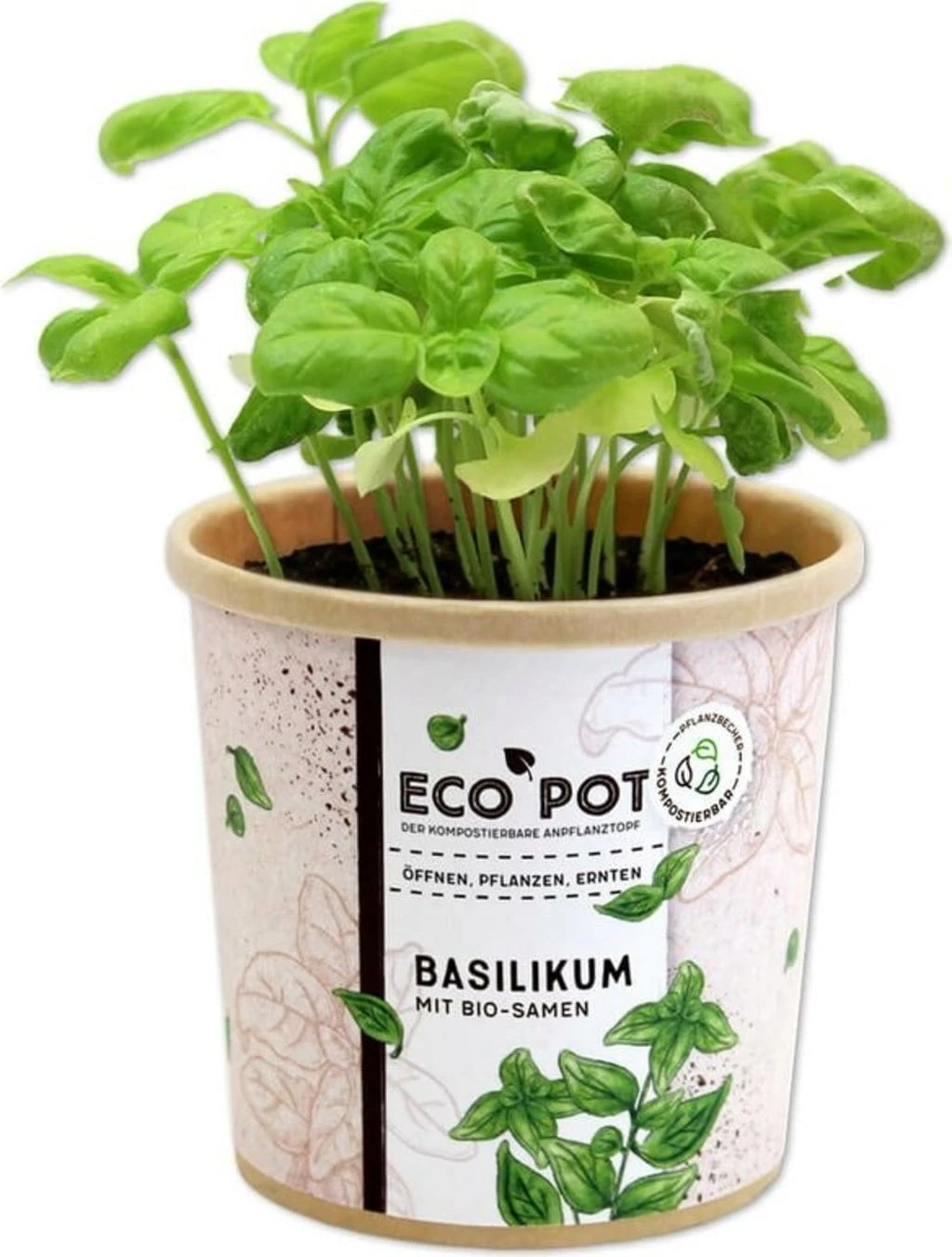 Ecopot - Basilico 4 Ecopot - Basilico - immagine 4