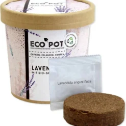 Ecopot - Lavanda -Offerta Economica Verdi Giard feel green ecopot lavanda 1 st 1677197 it