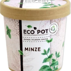 Ecopot - Menta -Offerta Economica Verdi Giard feel green ecopot menta 1 st 1677200 it