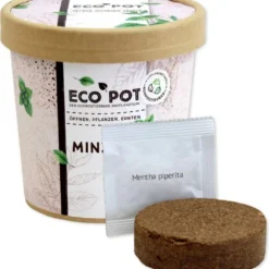 Ecopot - Menta -Offerta Economica Verdi Giard feel green ecopot menta 1 st 1677201 it