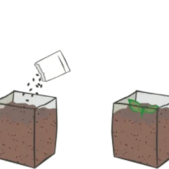 Instant Garden - Lavanda