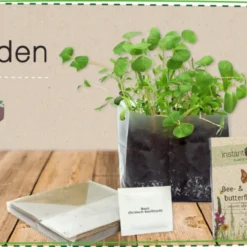 Instant Garden - Peperoncino