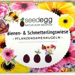 Nuovi Prodotti -Offerta Economica Verdi Giard feel green seedegg uovo di quaglia 6 pz 737012 it