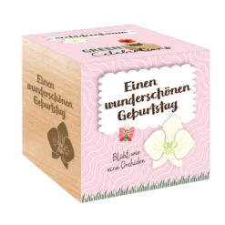 Green Celebrations - Albero Orchidea -Offerta Economica Verdi Giard green celebrations albero orchidea 1 k 1259173 it