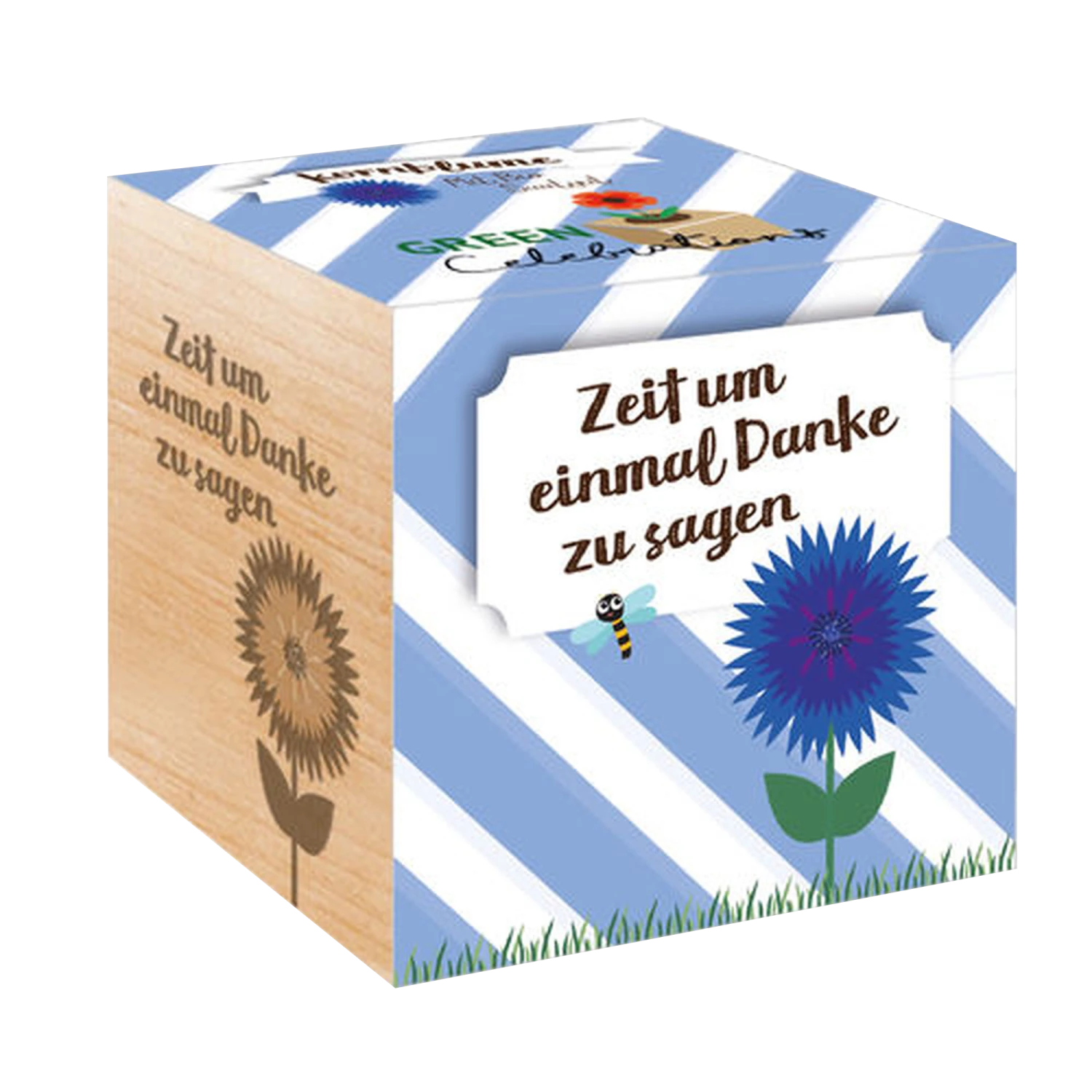 Green Celebrations - Fiordaliso 2 Green Celebrations - Fiordaliso - immagine 2