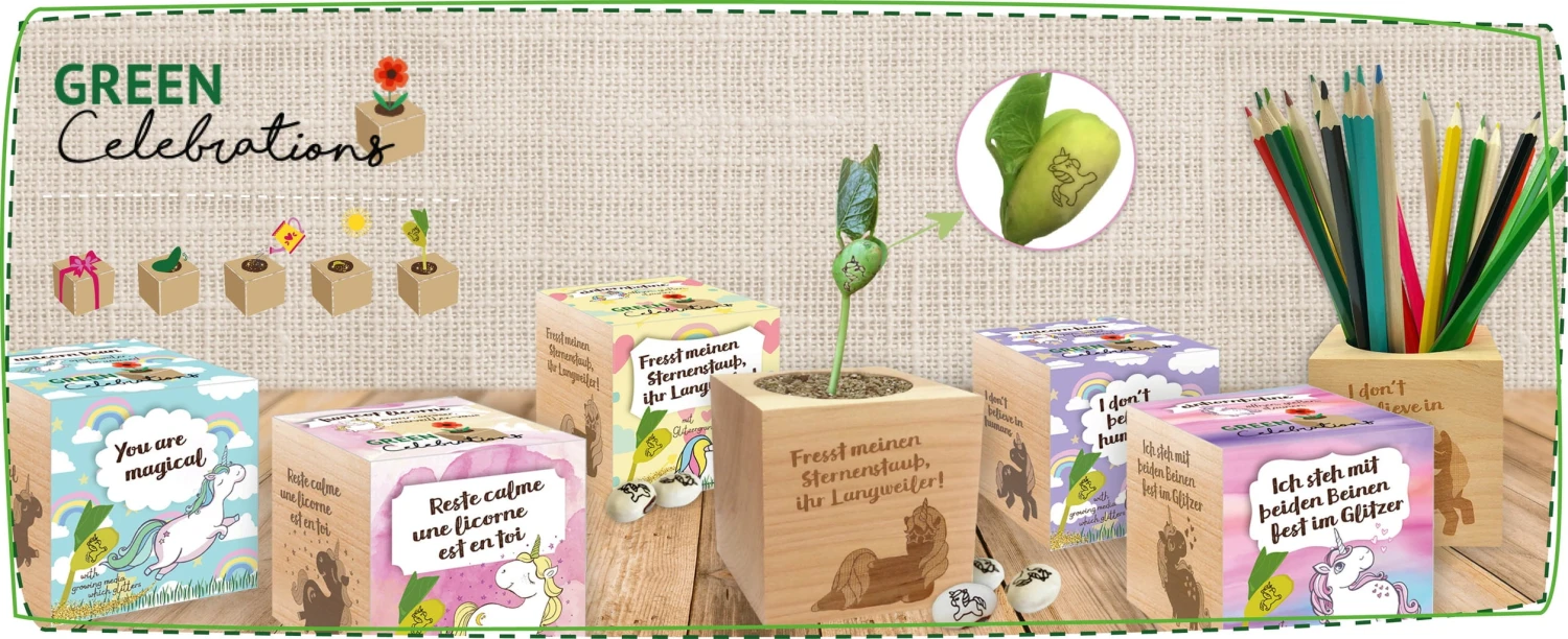 Green Celebrations - Fiordaliso 1 Green Celebrations - Fiordaliso