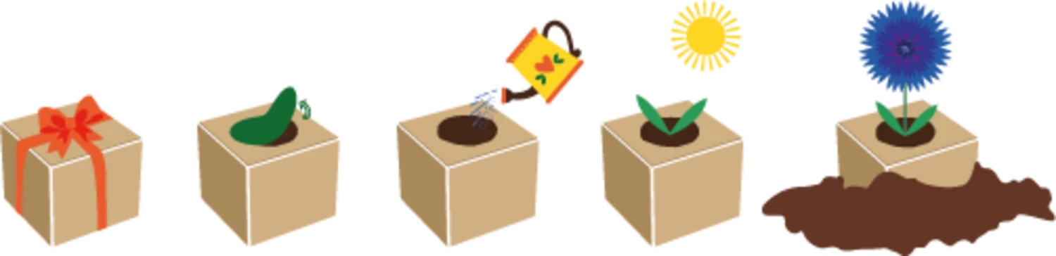 Green Celebrations - Fiordaliso 4 Green Celebrations - Fiordaliso - immagine 4