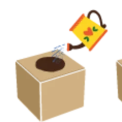 Green Celebrations - Girasole -Offerta Economica Verdi Giard green celebrations girasole 1 st 1669940 it