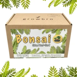 Set Da Coltivazione - Mimosa Pudica Bonsai -Offerta Economica Verdi Giard growbro set da coltivazione bonsai mimosa 1 set 844471 it