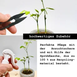 Set Da Coltivazione Premium - Fiori E Spine -Offerta Economica Verdi Giard growbro set da coltivazione premium fiori e spine 1 set 964333 it