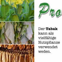 Set Da Coltivazione - Tabacco -Offerta Economica Verdi Giard growbro set da coltivazione tabacco 1 set 961632 it