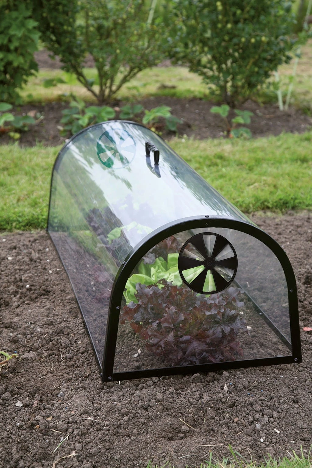 Kitchen Garden Cloche 2 Kitchen Garden Cloche - immagine 2