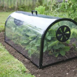 Kitchen Garden Cloche 11 Kitchen Garden Cloche -Offerta Economica Verdi Giard haxnicks kitchen garden cloche 1 st 1666043 it