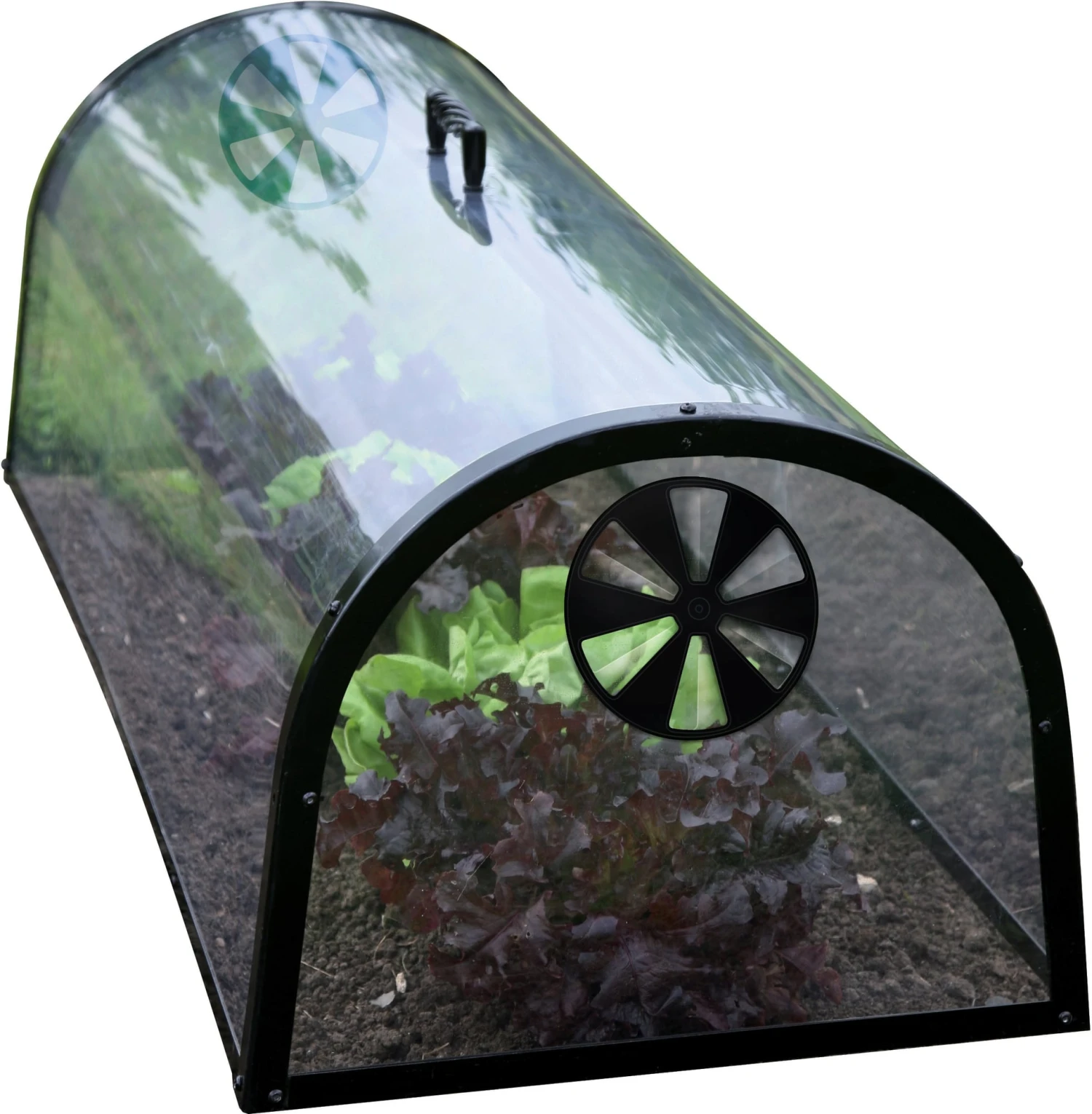 Kitchen Garden Cloche 5 Kitchen Garden Cloche - immagine 5