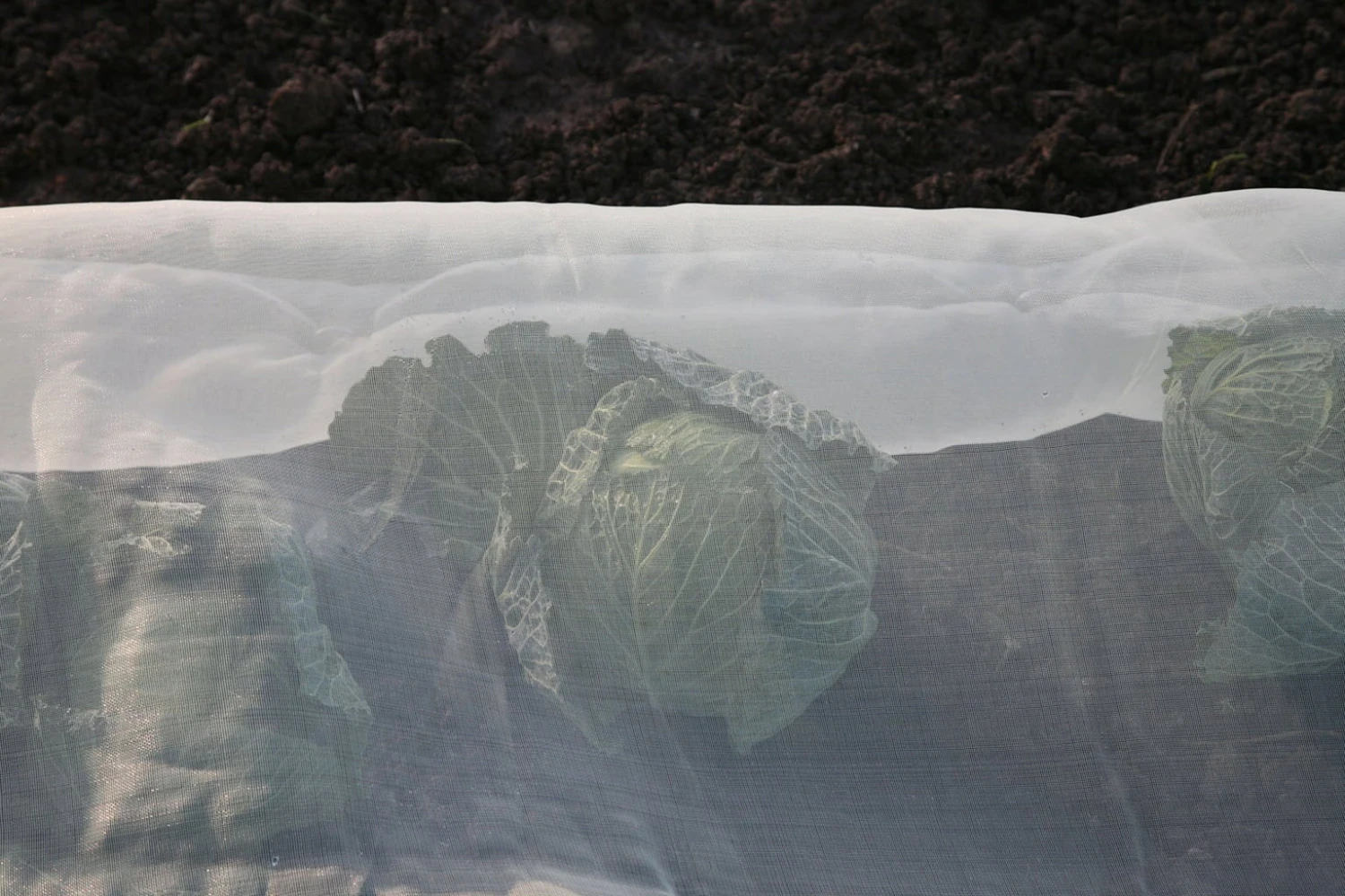 Micromesh Prepack 3 Micromesh Prepack - immagine 3