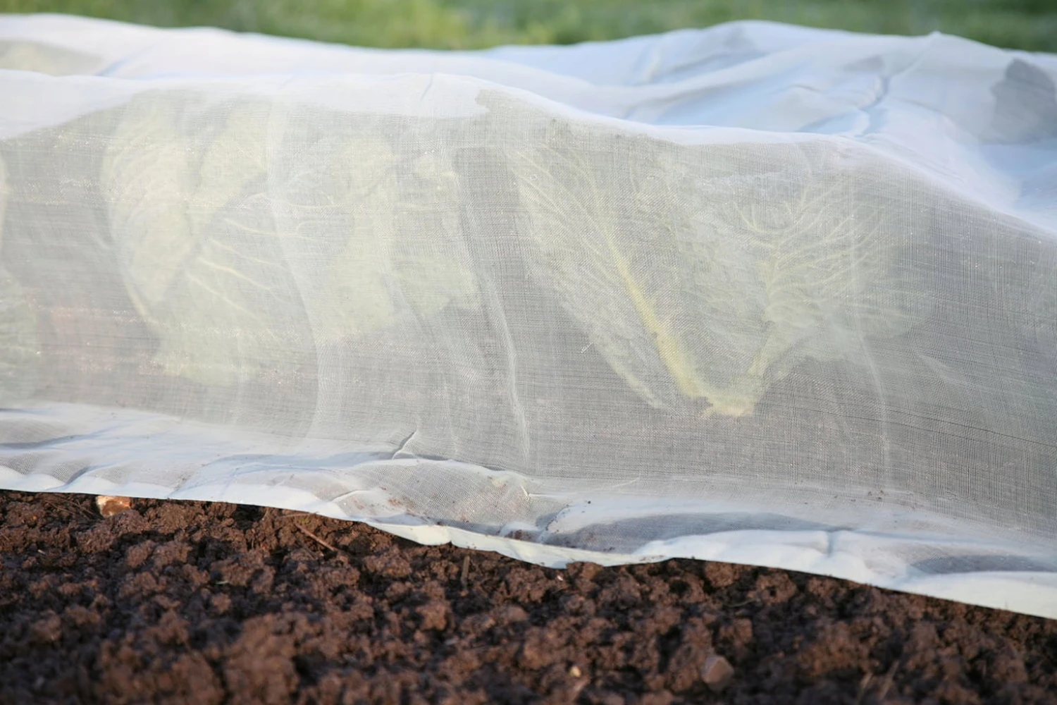 Micromesh Prepack 4 Micromesh Prepack - immagine 4